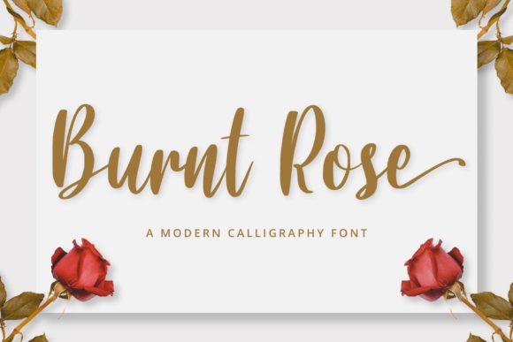Burnt Rose Font Review