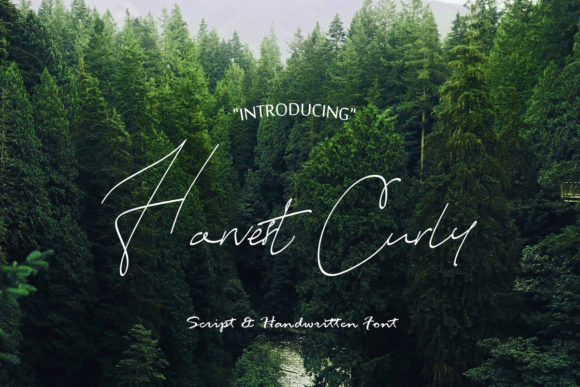 Harvest Curly Font for Business Branding