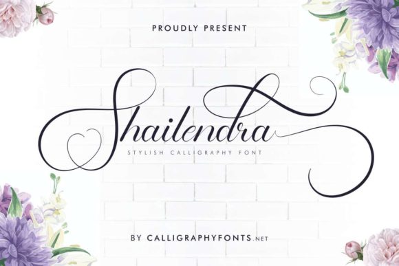 Shailendra: A Delicate Font for Business Branding